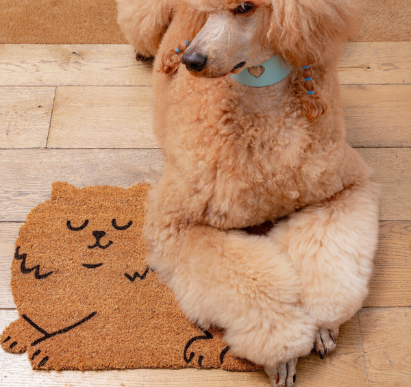 Cat Door Mat