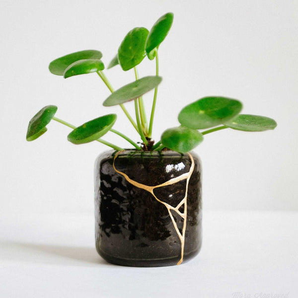 DIY Kintsugi Kit - Japansk Kintsugi Sæt