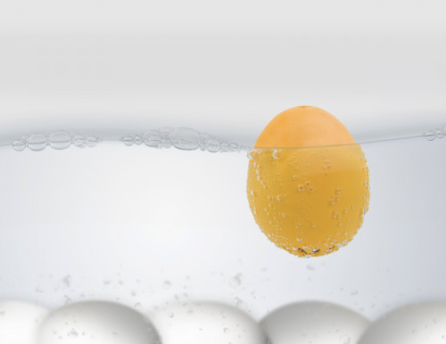 Chicken BeepEgg Egg Timer