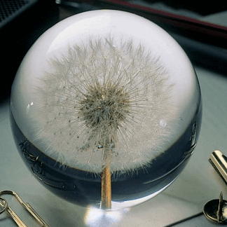 hafod grange dandelion paperweight papirvægt areastore.dk