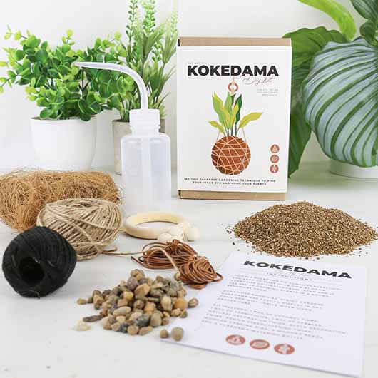 DIY Kokedama Kit