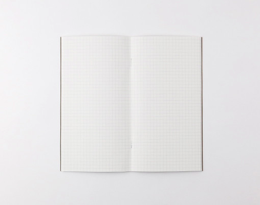 Traveler's Company Traveler's Notebook Refill 002 checked/grid