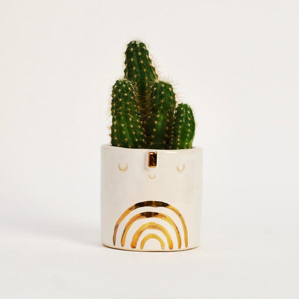 Mini Gold Rainbow Pot