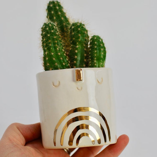 Mini Gold Rainbow Pot