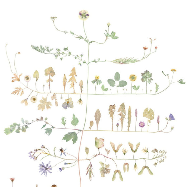 Lottas Trees - Ingrid's Tree Print