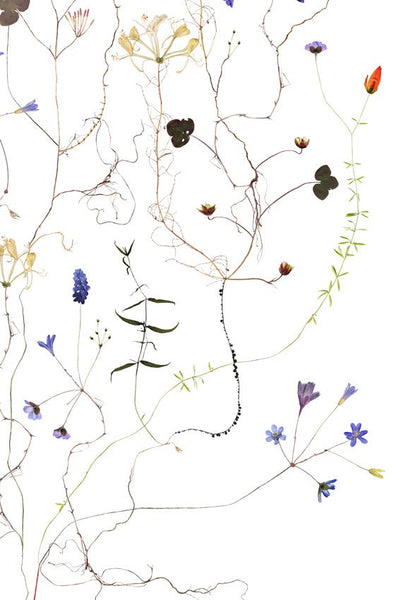 Lottas Trees - Swedish Spring Print