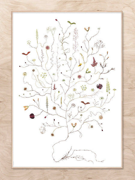 Lottas Trees - August Tree print