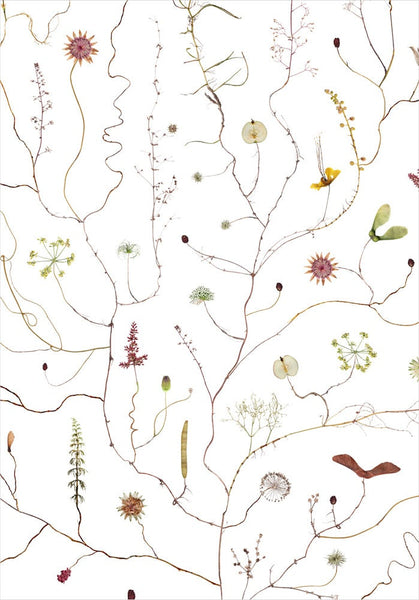 Lottas Trees - August Tree print