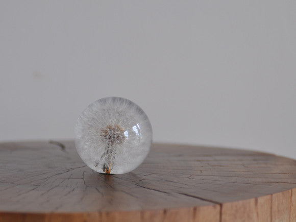 hafod grange dandelion paperweight papirvægt areastore.dk