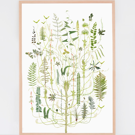 Lottas Trees - Green Flora Print