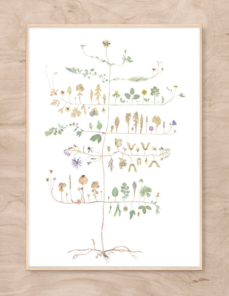 Lottas Trees - Ingrid's Tree Print