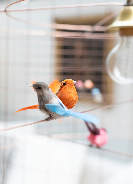 Bird Cage Voliere Pendant- 3 weeks delivery