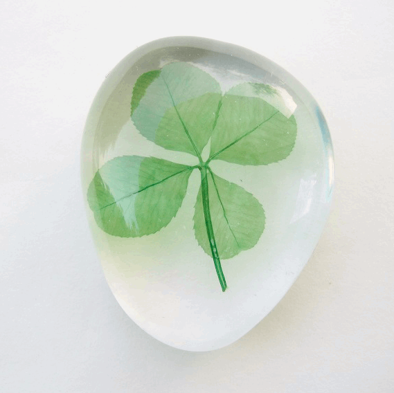 Four-leaf Clover Lucky Object - Ægte firkløver støbt i akryl