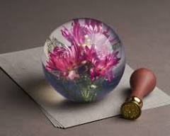 Helichrysum Pink Paperweight - Brevvægt med Ægte Blomst