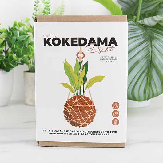 DIY Kokedama Kit
