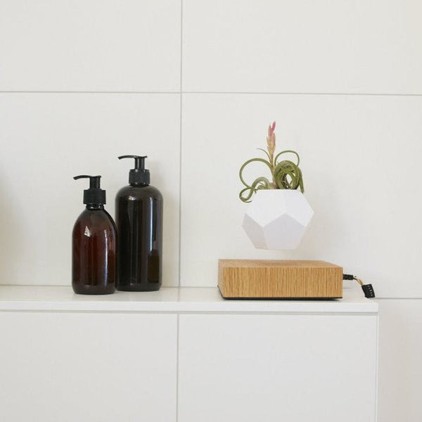 FLYTE Lyfe Levitating Planter