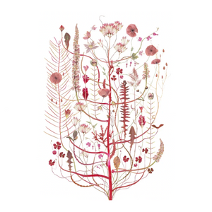 Lottas Trees - Pink Flora Print