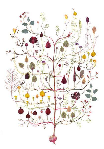 Lottas Trees - Amarant print