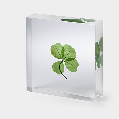 Four-leaf clover Lucky Object Square