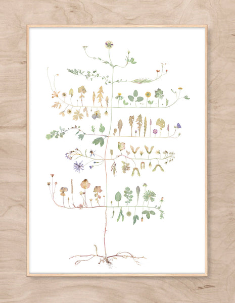 Lottas Trees - Ingrid's Tree print